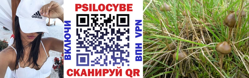 Галлюциногенные грибы MAGIC MUSHROOMS  Купить где  Джанкой 